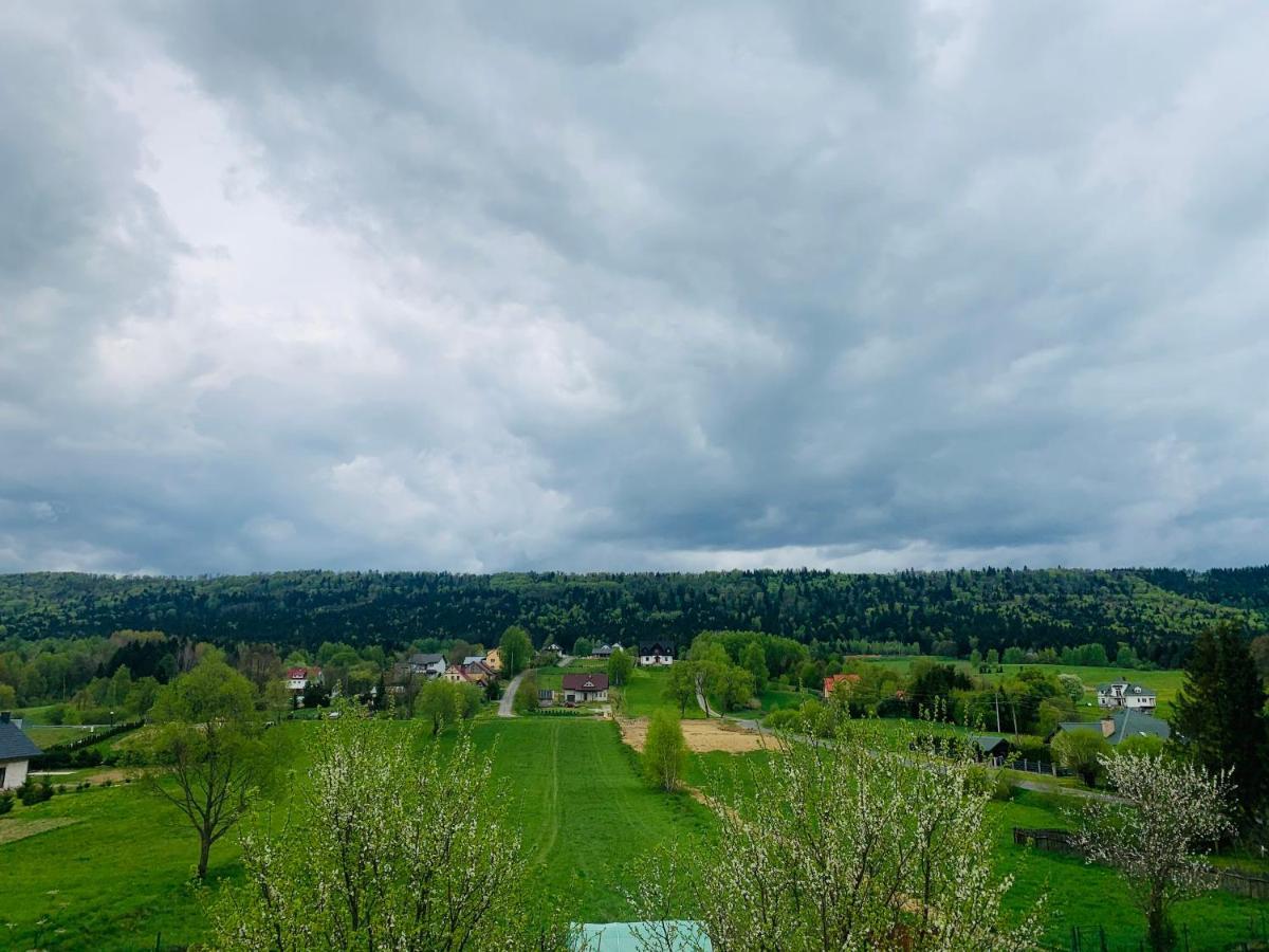 Apartamenty Rownia 2 Ustrzyki Dolne Bagian luar foto